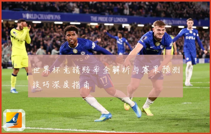 世界杯竞猜赔率全解析与赛果预测技巧深度指南