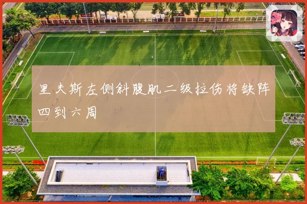 里夫斯左侧斜腹肌二级拉伤将缺阵四到六周