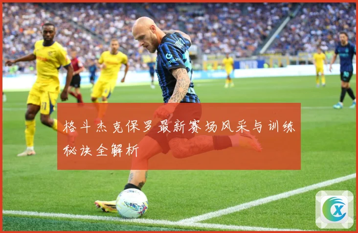 格斗杰克保罗最新赛场风采与训练秘诀全解析